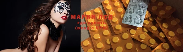 тгк Майский