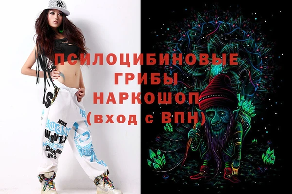 сатива Михайловка