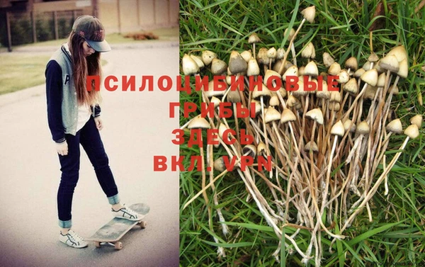 ECSTASY Магас