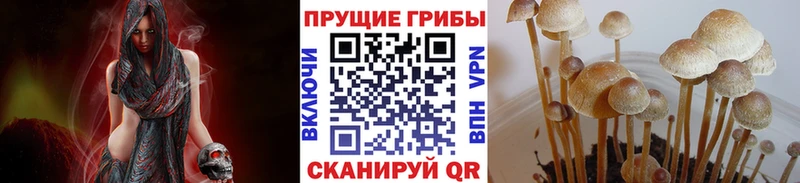 Купить закладки  Верхний Уфалей  Псилоцибиновые грибы прущие грибы 